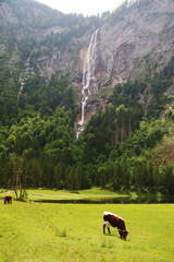 Rothbachfall waterfall in the Bavarian Alps, Germany	