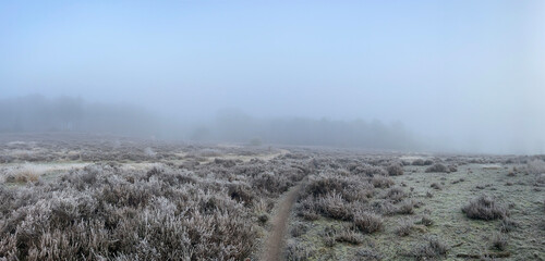 Winter and misty MTB track panorama at the sallandse heuvelrug national park in Overijssel the Netherlands