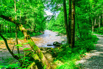 Hiking Ilztal between Schrottenbaummill and Fuersteneck in the Bavarian Forests 