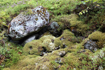 Norwegen - Felsen nahe Fresvik / Norway - Rock near Fresvik /