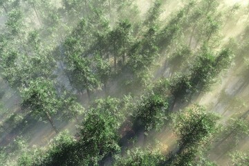 Forest from flight altitude, park from above, trees top view, 3D rendering