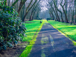 footpath in the park