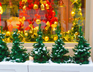 small green christmas trees in a flowerbed on the street in front of a shop window