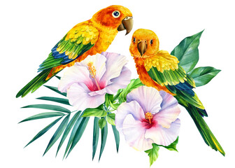 Parrots and tropical flower on isolated white background, watercolor illustration, jungle design