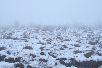 fog field meadow covered with snow in winter 