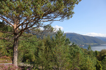 Norwegen - Landschaft bei Nordrevik und Vadheim / Norway - Landscape near Nordrevik and Vadheim /