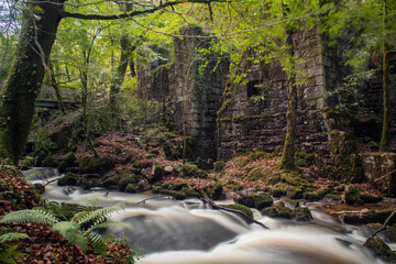 River flowing in front of a derelict mill