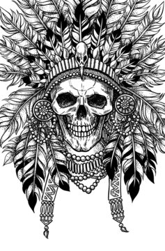 Indian skull with a crown of feathers