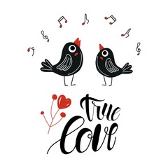 Fototapeta na wymiar True Love concept. Funny cartoon couples character of birds with lettering - True love . Symbol of mutual love, happiness, hope. Romantic illustration.