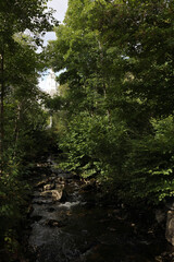 Norwegen - Bach in Lavik / Norway - Creek in Lavik /