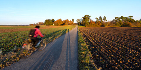 Radfahrer Malmsheim