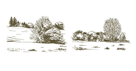 Rural landskape, forest and meadow. Hand drawn set. - 474396924
