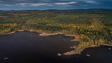Obraz premium Lakeshore with coloured trees in autumn in Jämtland in Sweden from above.