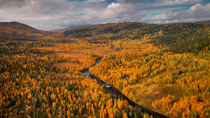 Landscape with river and hills covered with yellow coloured trees of a forest in autumn in Lapland...
