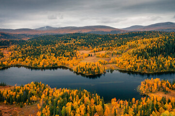 Blue lake and mountains with coloured trees in autumn along the scenic Wilderness Road in Jämtland in Sweden from above.