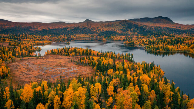 Blue lake and mountains with coloured trees in autumn along the scenic Wilderness Road in J&auml;mtland in Sweden from above.