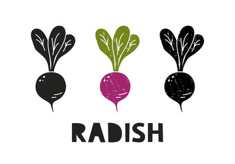 Radish, silhouette icons set with lettering. Imitation of stamp, print with scuffs. Simple black shape and color vector illustration. Hand drawn isolated elements on white background - 474398555