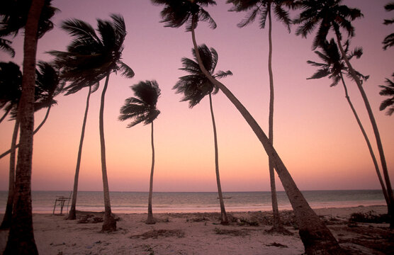 ZANZIBAR BWEJUU EASTCOAST LANDSCAPE