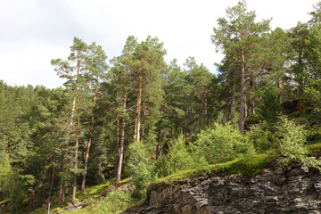 Fototapeta na wymiar Norwegen - Landschaft nahe Aurlandsvangen / Norway - Landscape near Aurlandsvangen /