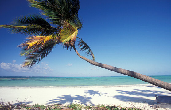 ZANZIBAR BWEJUU EASTCOAST LANDSCAPE