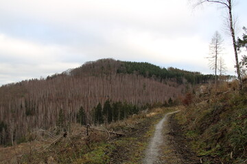 Fototapeta na wymiar Winterwanderung im Harz, Förster-Stieg (Hiking in the winter season in the Harz Mountains) | Försterstieg entlang der Granetalsperre
