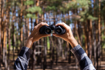 Man looks through binoculars against the background of the forest. Banner. Flat lay, top view