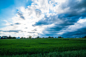 Green fields of nature landscape with dramatic thunderstorm sky and dark clouds in summer season