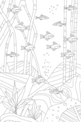 swimming school of little fish among roots of mangrove above of