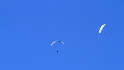 flying high in the sky