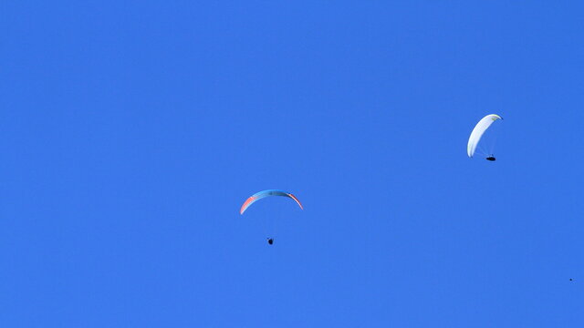 flying high in the sky