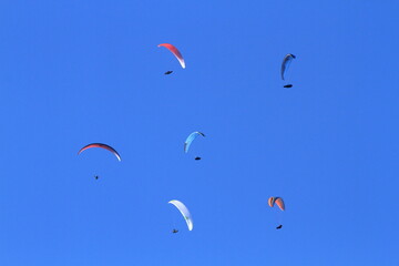 flying high in the sky