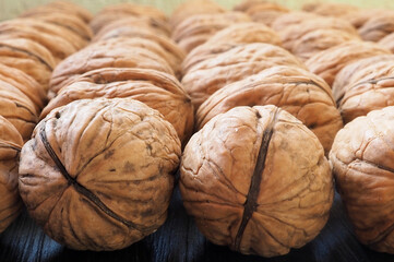 Lots of walnuts, rows stretching into the distance. Walnut background