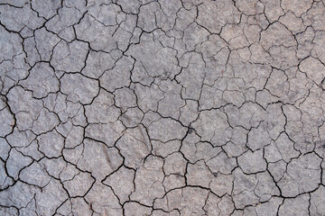 Soil cracked background. Land in dry season