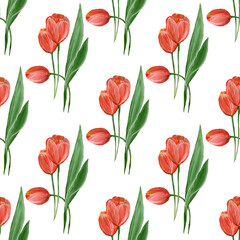 Red tulips with green leaves on a white background. Floral seamless pattern. Watercolor illustration. For the design of postcards, textiles, gift wrapping.