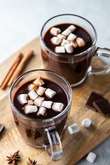 Two glass cups of hot chocolate with marshmallows and cinnamon sticks on wooden board and grey background. Winter food and drink concept. Selective focus.