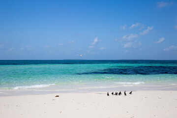 beach and sea