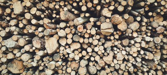 Neatly stacked woodpile for wood stove heating.