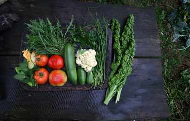warzywa na stole plony zdrowie zielenina żywność - obrazy, fototapety, plakaty
