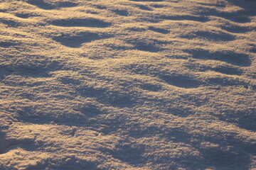 the texture of snow in the light of the low morning sun