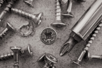 Screw. The screws are scattered over the wooden surface in a close-up plan