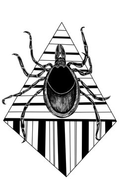 black tick insect geometric design clip art preview