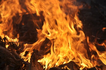 Flame. A burning flame.