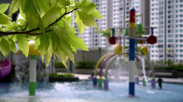 Select focus at the green leaves in water playground of condominium at outdoor. Background is two sibling kids run and play in pool