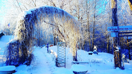 Winter snow drifts plants trees stand in snowdrifts