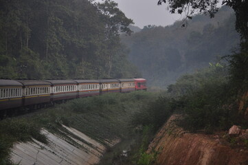 Thai train in the morning mist