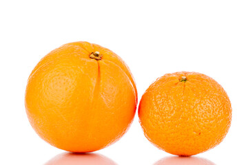 One juicy orange and tangerine, close-up, isolated on white.