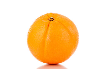 One juicy orange, close-up, isolated on white.