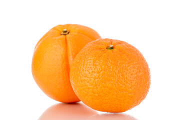 One juicy orange and tangerine, close-up, isolated on white.