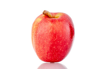 One ripe juicy apple, close-up, isolated on white.
