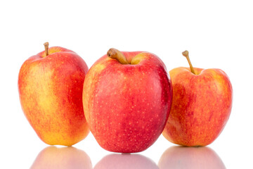 Three ripe juicy apples, close-up, isolated on white.